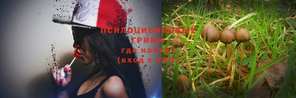 apvp Инсар