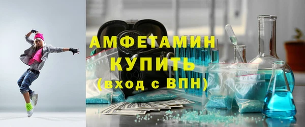 apvp Инсар