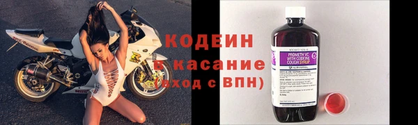 apvp Инсар