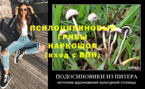 спиды Иннополис