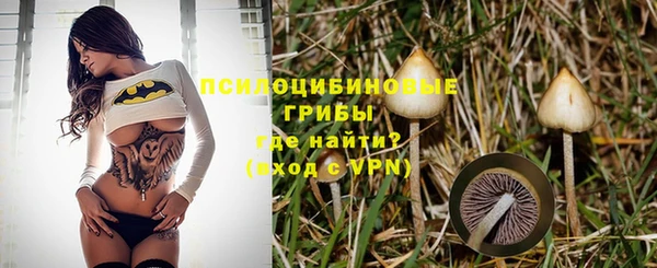 spice Лихославль