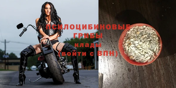 apvp Инсар