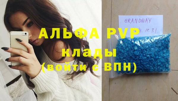 apvp Инсар