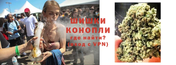 apvp Инсар