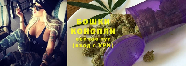 спиды Иннополис