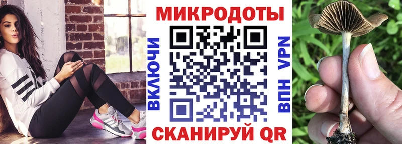 Псилоцибиновые грибы Psilocybe  Печора 